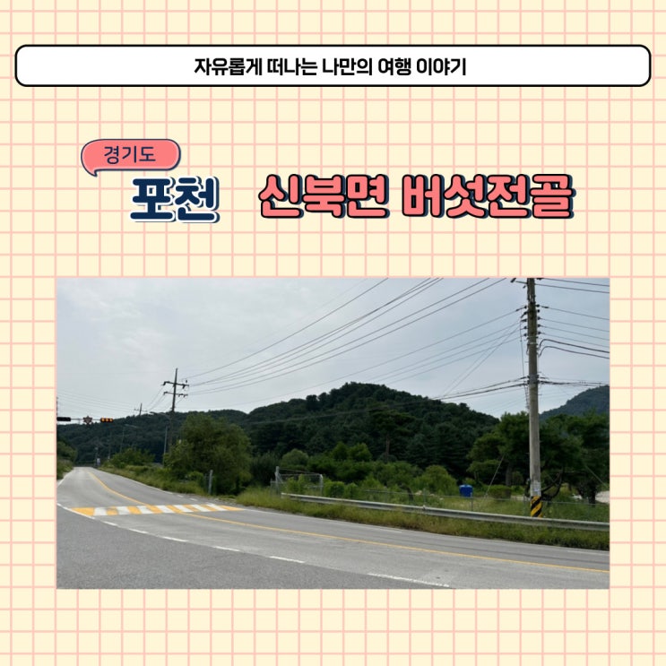  포천 신북면 맛집 청산별미(청산명가) 버섯전골 전문점이에요