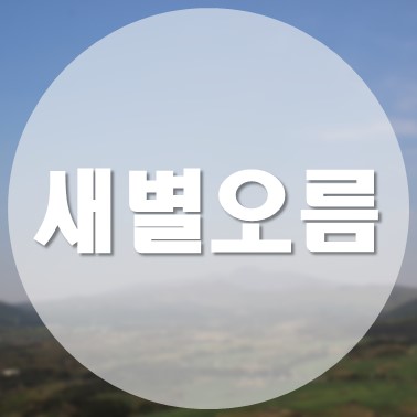  [국내/제주도] 제주 서쪽 애월읍 가볼 만한 곳 새별오름