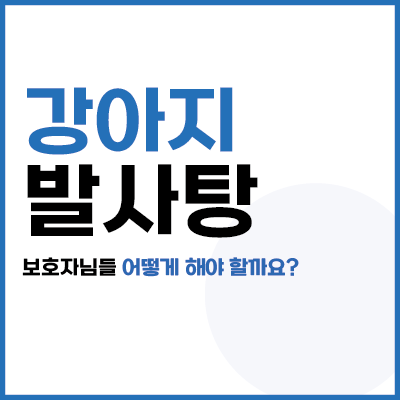  강아지 발사탕, 견주님들의 고민! 이 글로 보시고 고민하지 마세요! #발을 핥는 이유!
