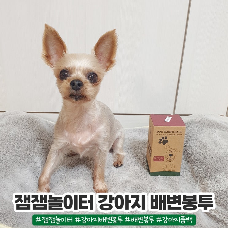 펫티켓 필수템 잼잼놀이터 강아지배변봉투 펫티켓 필수템 잼잼놀이터 강아지배변봉투