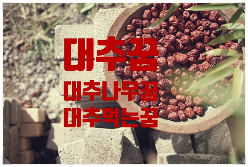 대추나무 꿈 대추먹는 따는 꿈풀이 알아 보아요