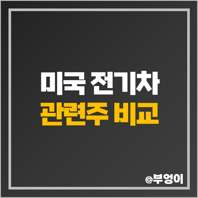 미국 상장 전기차 관련주 자동차 생산 주식 테슬라 포드 루시드 주가 미국 상장 전기차 관련주 자동차 생산 주식 테슬라 포드 루시드 주가