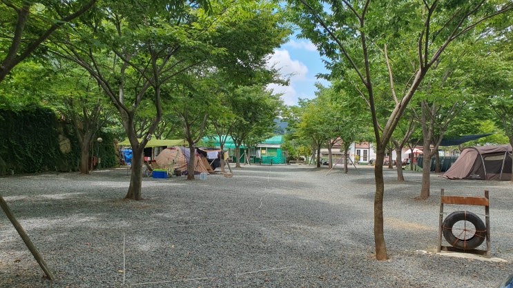 밀양 캠핑맛집 솔바람캠핑장