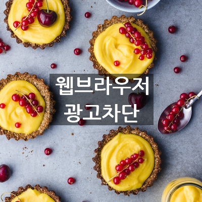  웹브라우저 광고 차단