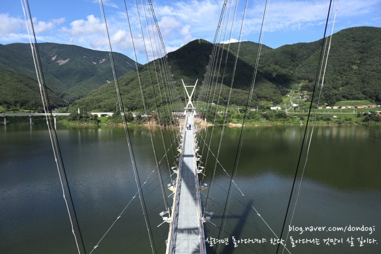  영천 보현산댐 출렁다리 - 개통식 및 별빛트레킹에 즈음하여, 짚와이어의 관계