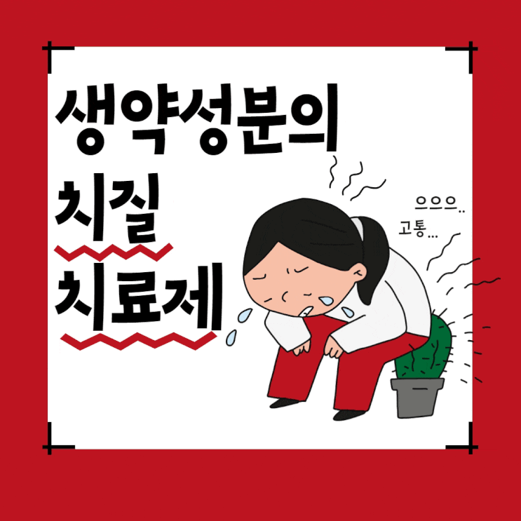  치지래과립 :: 생약성분의 먹는 약국 치질약 추천
