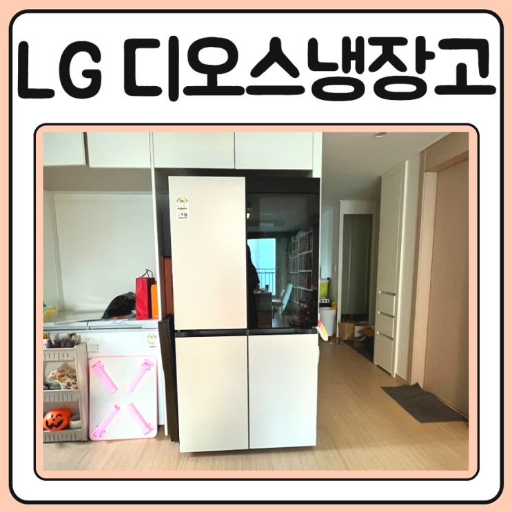  T873MEE312 엘지디오스냉장고 오브제컬렉션 내돈내산