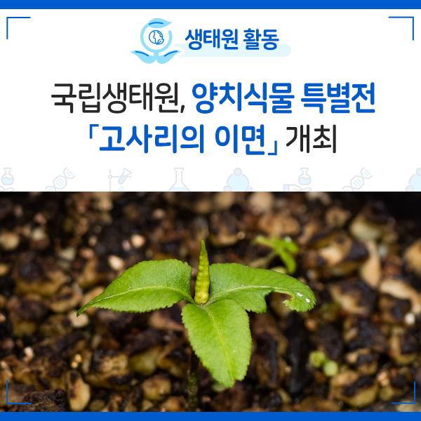 [NIE 소식] 국립생태원, 양치식물 특별전 「고사리의 이면」 개최