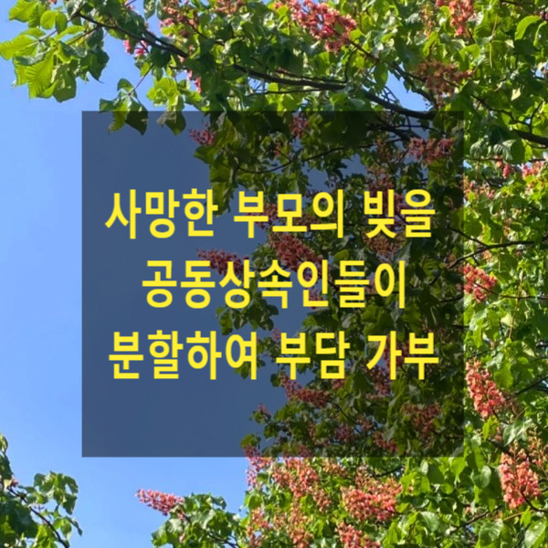 상속 - 사망한 부모의 빚을 공동상속인들이 분할하여 부담할 수 있는지
