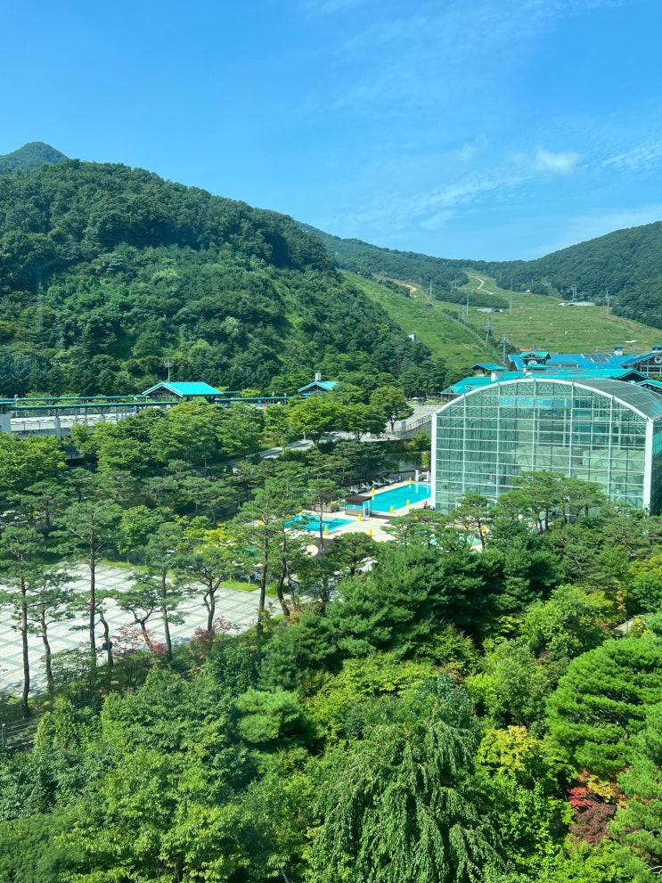  여름 곤지암 리조트 : 노블 취사형 객실 후기 마운틴뷰 추천 할인예약 주차등록방법 아이와함께 경기도 광주 여행지