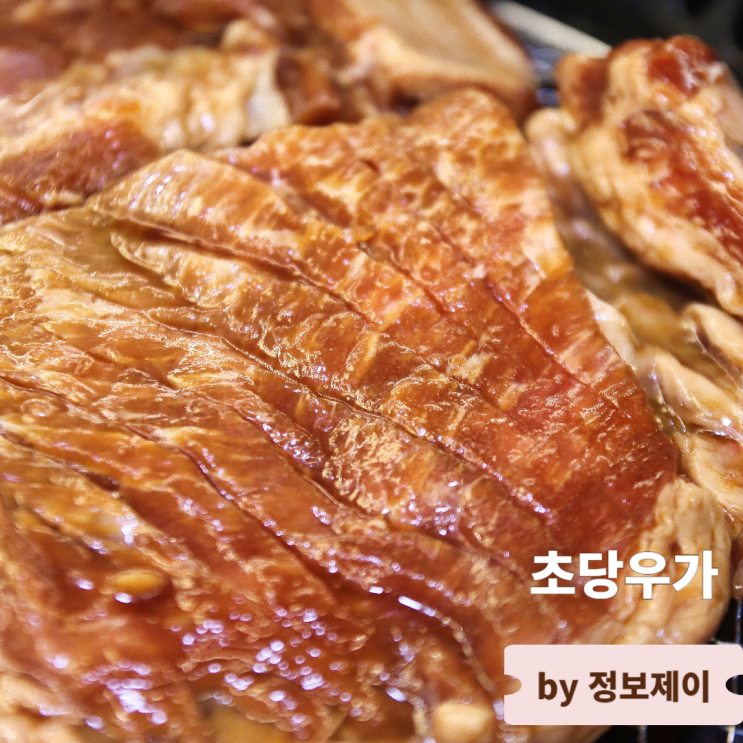  강릉 애견동반식당 강문해변 맛집 초당우가