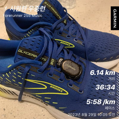  20230829 - 시원한 우중런