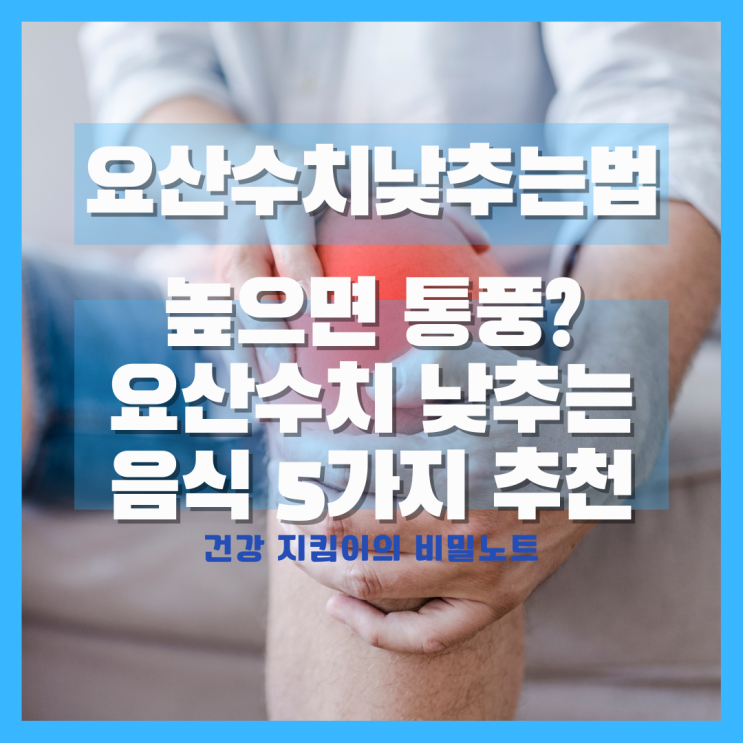  요산수치가 높으면 통풍? 요산수치 낮추는법, 낮추는 음식 5가지