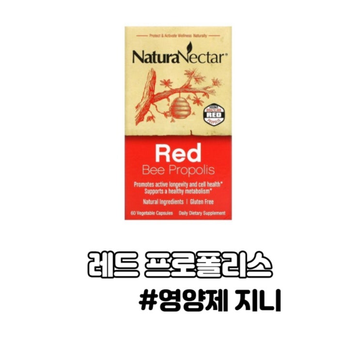 NaturaNectar 레드 꿀벌 프로폴리스 면역력 비염 역류성 식도염 항염