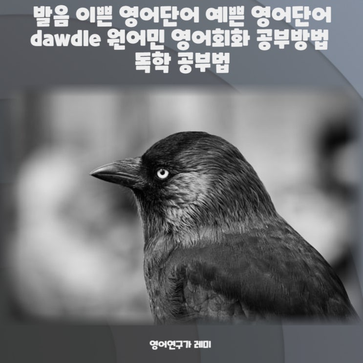 발음 이쁜 영어단어 예쁜 영어단어 dawdle 원어민 영어회화 공부방법 독학 공부법