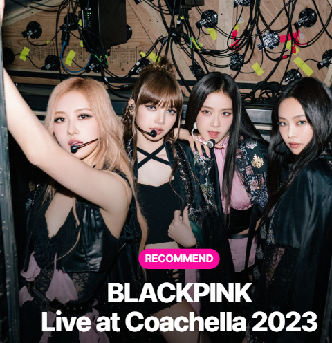 How to Reserve BLACKPINK Concert Tickets (feat. Ticketbay)