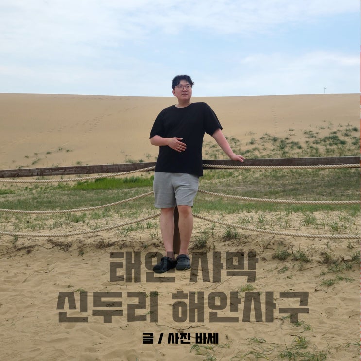 태안 모래 사구 신두리 해안사구, 한국에도 모래사막이 있다