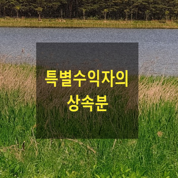  상속 - 특별수익자의 상속분 계산 사례
