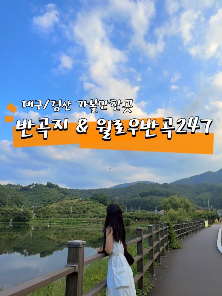  [경북 대구] 경산가볼만한곳/경산드라이브코스 반곡지&윌로우반곡247 (+방문 후기, 주차정보, 카페추천 등)