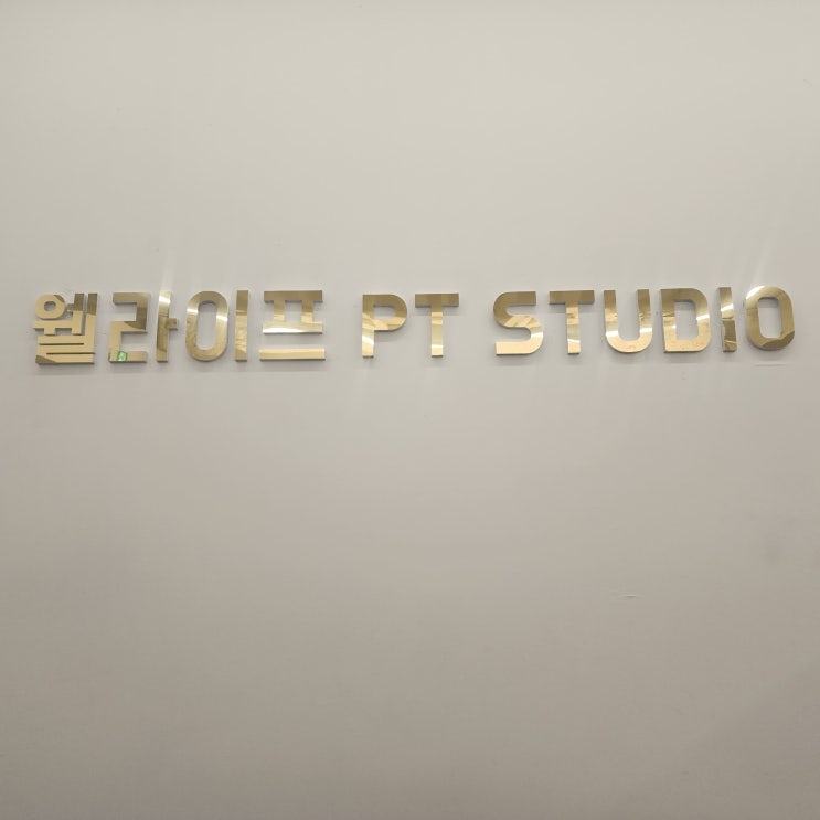  [서울 중구] 약수역PT 웰라이프PT 스튜디오 체형분석검사, 심폐기능검사 다녀온 후기