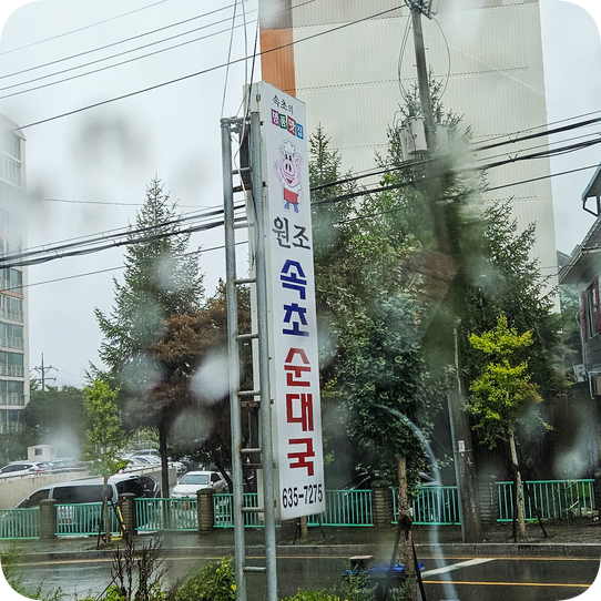  내돈내산 속초 현지인 순대국 맛집 - 원조속초순대국 맛있다 (오징어순대 꼭 드세요)