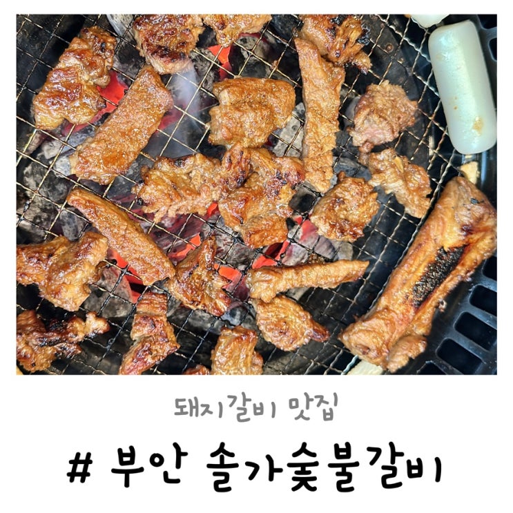  부안 솔가숯불갈비 | 부안읍내맛집 완전 맛있는 돼지갈비