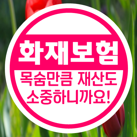  전세 화재보험과 임대주택화재보험, 그 필요성을 아시나요?