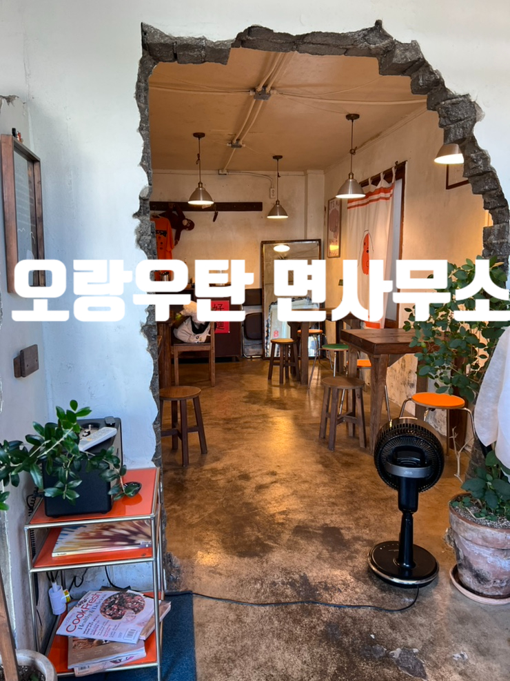  제주 서귀포 내돈내산맛집, 산방산맛집 ,산방산 점심추천,오랑우탄 면 사무소 탄탄면