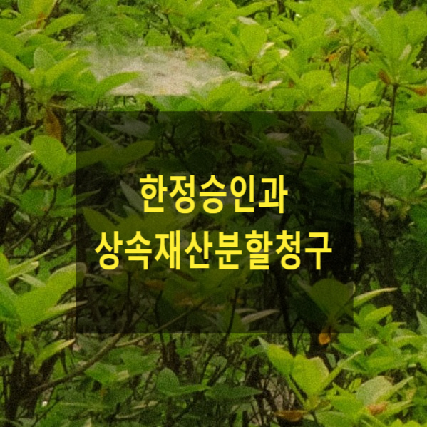  상속 한정승인 청산절차 종료 전 상속재산분할청구 가부