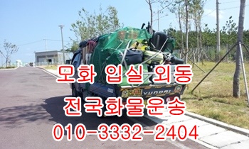  모화용달 외동 입실 불국사 정자 양남 울릉도.
