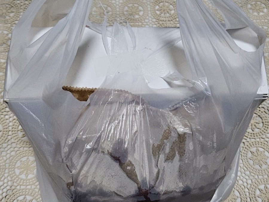 안라커피 2호점 사진 1