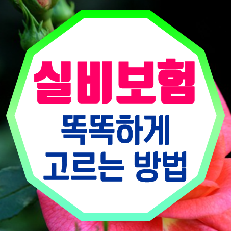  착한실비보험, 똑똑하게 골라보는 착한실손보험