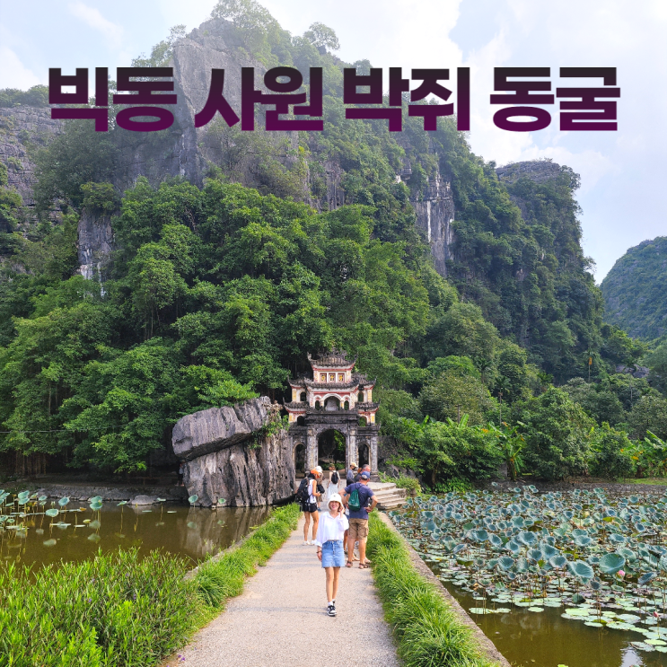 땀꼭 빅동 사원 박쥐가 사는 신비한 푸른 동굴 땀꼭 빅동 사원 박쥐가 사는 신비한 푸른 동굴