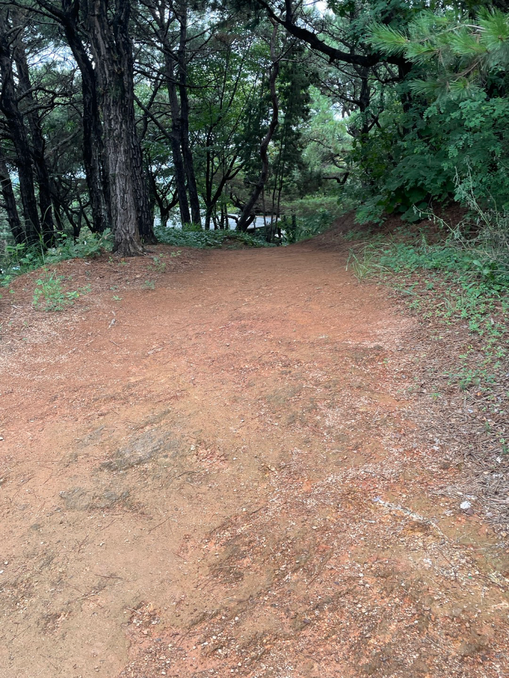  다스람암요양병원 맨발걷기 산책로가 있어요