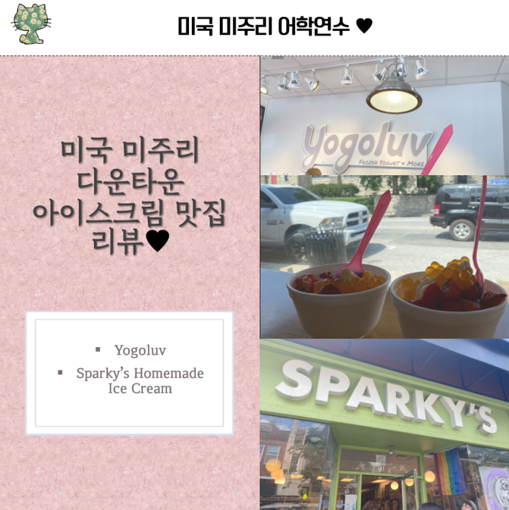 미주리 다운타운 아이스크림 맛집 리뷰 ️ (Yogoluv, Sparky's Homemade Ice Cream 맛 리뷰 및 가격)
