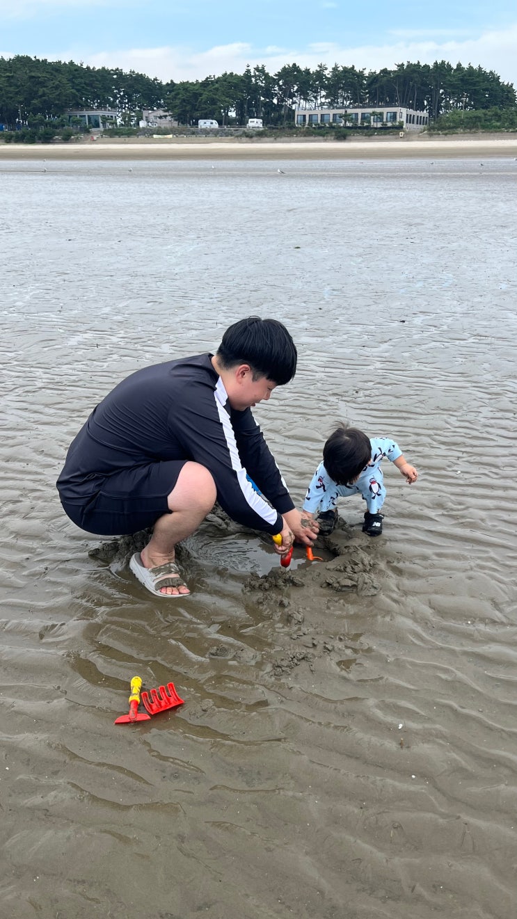  서천 여행 숙소, 서천 펜션추천 솔마루펜션