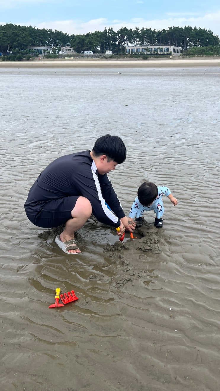 서천 여행 숙소, 서천 펜션추천 솔마루펜션