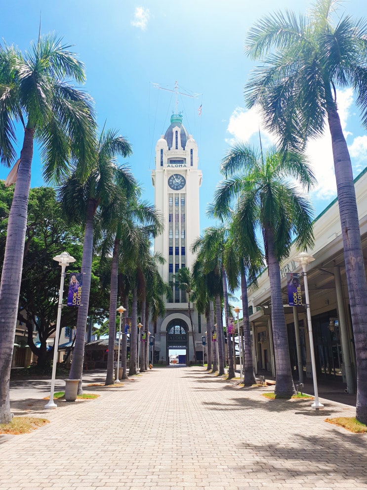 [하와이 여행 6일차(1)] 다운타운 시티투어 시내관광(성당, 알로하 타워)