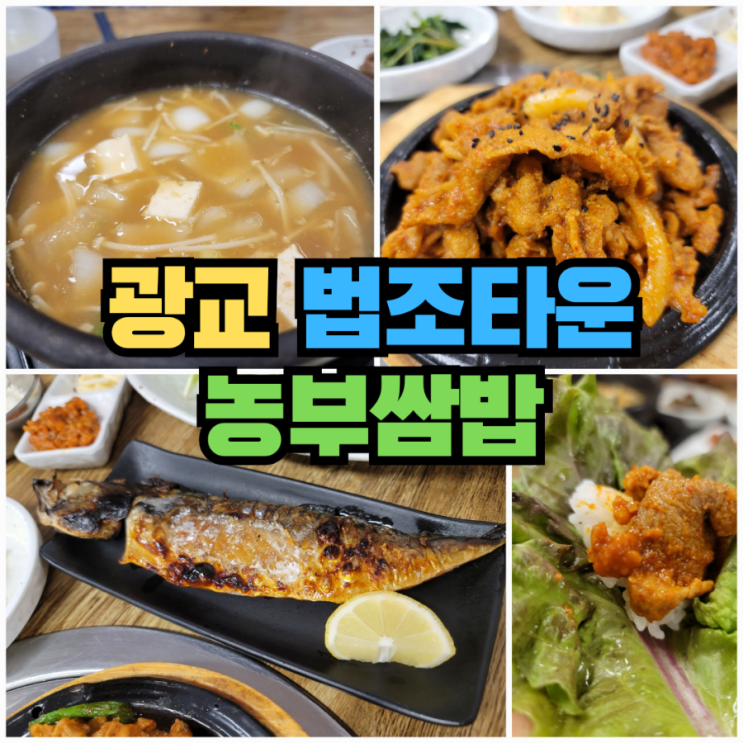  [광교] 법조타운 점심 식당 제육 고등어 쌈밥 - 농부쌈밥