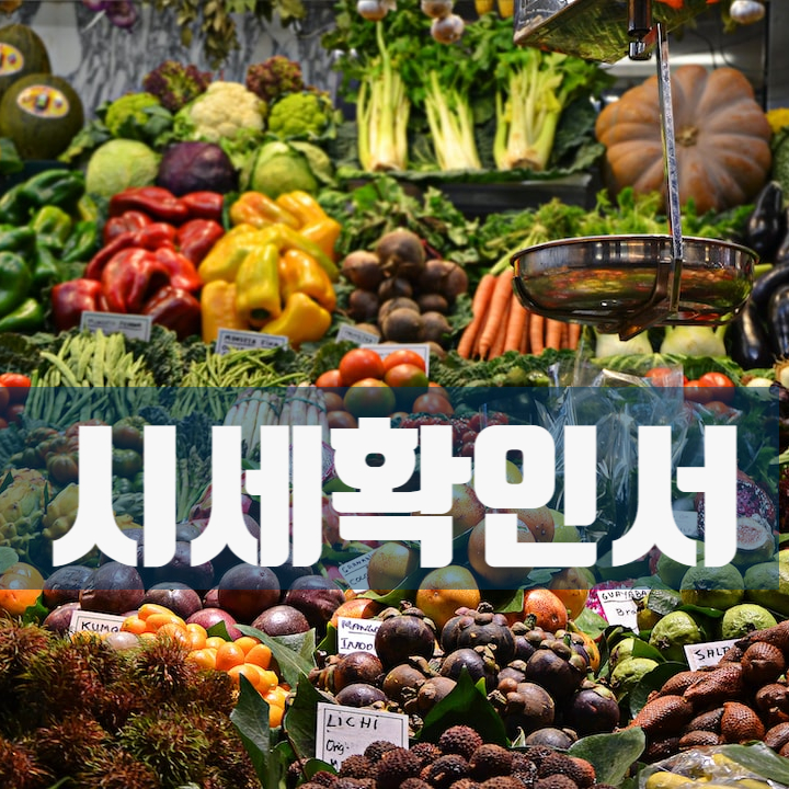  법원 제출용 전국 부동산 시세 확인서, 발급 목적에 따라 주의할 내용