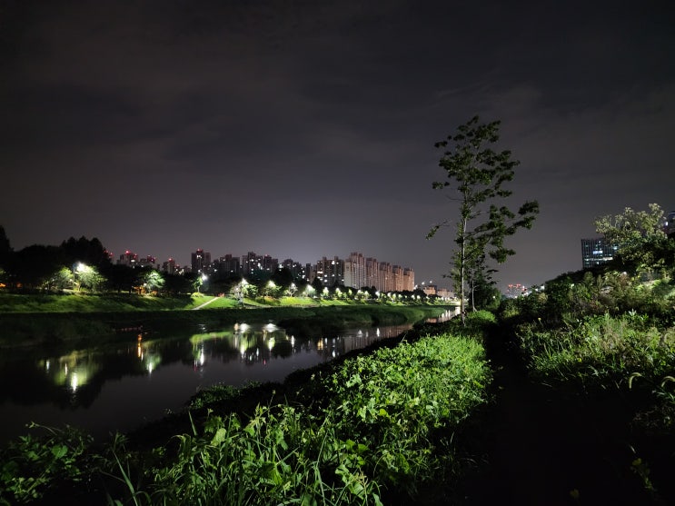 안양천 서울둘레길 6코스 한밤의 걷기여행 안양천 서울둘레길 6코스 한밤의 걷기여행