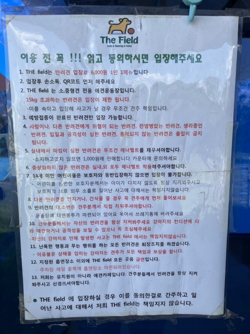 사진 4