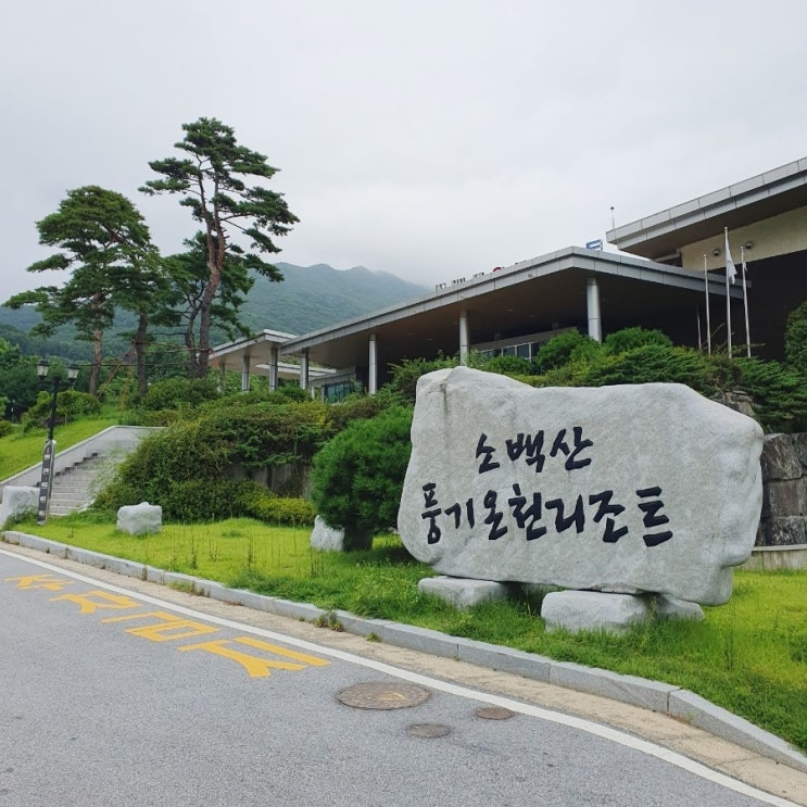  영주 가족숙소 소백산풍기온천리조트 :: 워터파크/리조트 온돌/트윈룸 후기