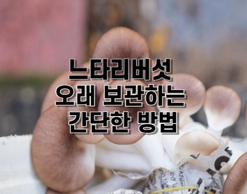 느타리버섯 보관 방법 냉장보관 곰팡이 세척 및 손질