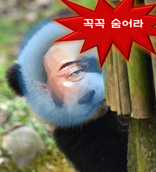 산으로 가는 故채수근상병 수사 : <b>박정훈 대령</b>에 대한... 