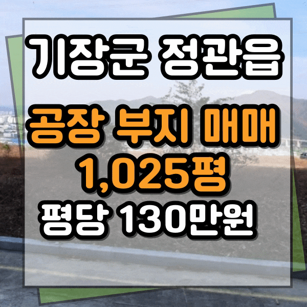  전속 중개. 정관 공장부지 매매, 공장 업종 코드 C30, C24 가능, 기타코드번호 문의바랍니다.
