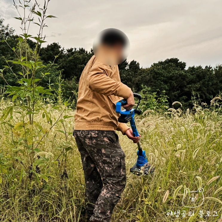 무선 충전예초기 쓸만한지 직접 사용해본 후기