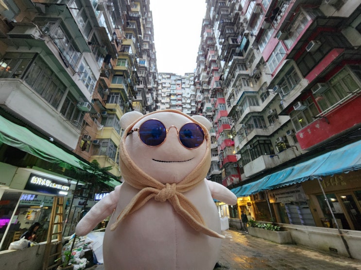 홍콩자유여행 트랜스포머4 촬영지 익청빌딩 구경하기