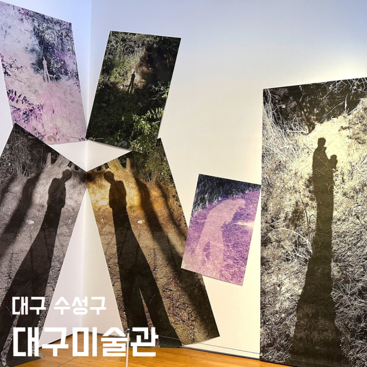 대구미술관 - 다티스트 김영진 출구가 어디예요 전시 후기