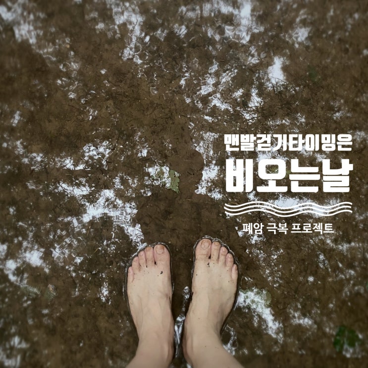  서대문 안산 비 오는 날 황톳길 맨발걷기 실패, 플랜B 플랜C 가동